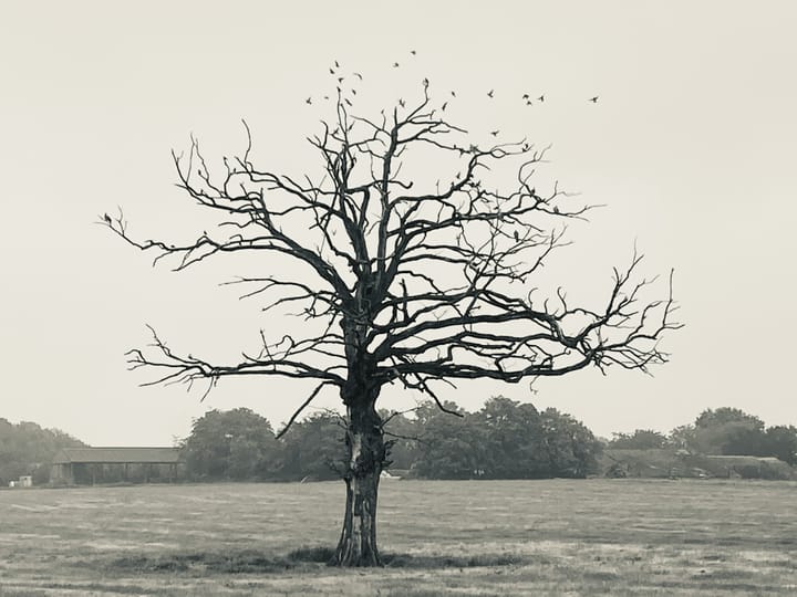 Death, to accept it or to fear it?