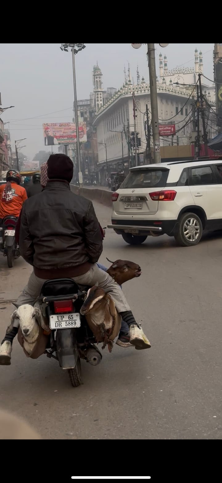 Another morning in Banares